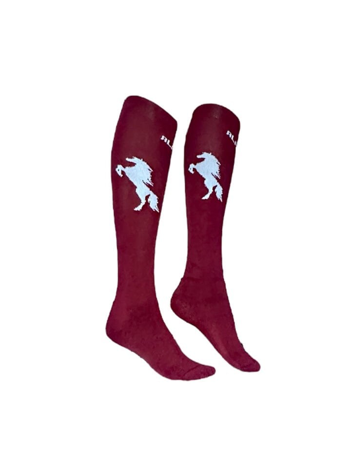 Termal Binici Çorabı